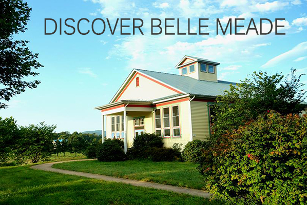 Belle Meade School