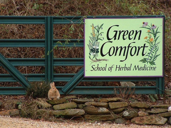 Green Comfort School of Herbal Medicine