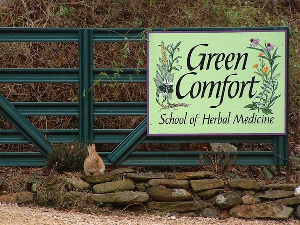 favorit alliance Aktiver Rappahannock.com - Green Comfort School Of Herbal Medicine